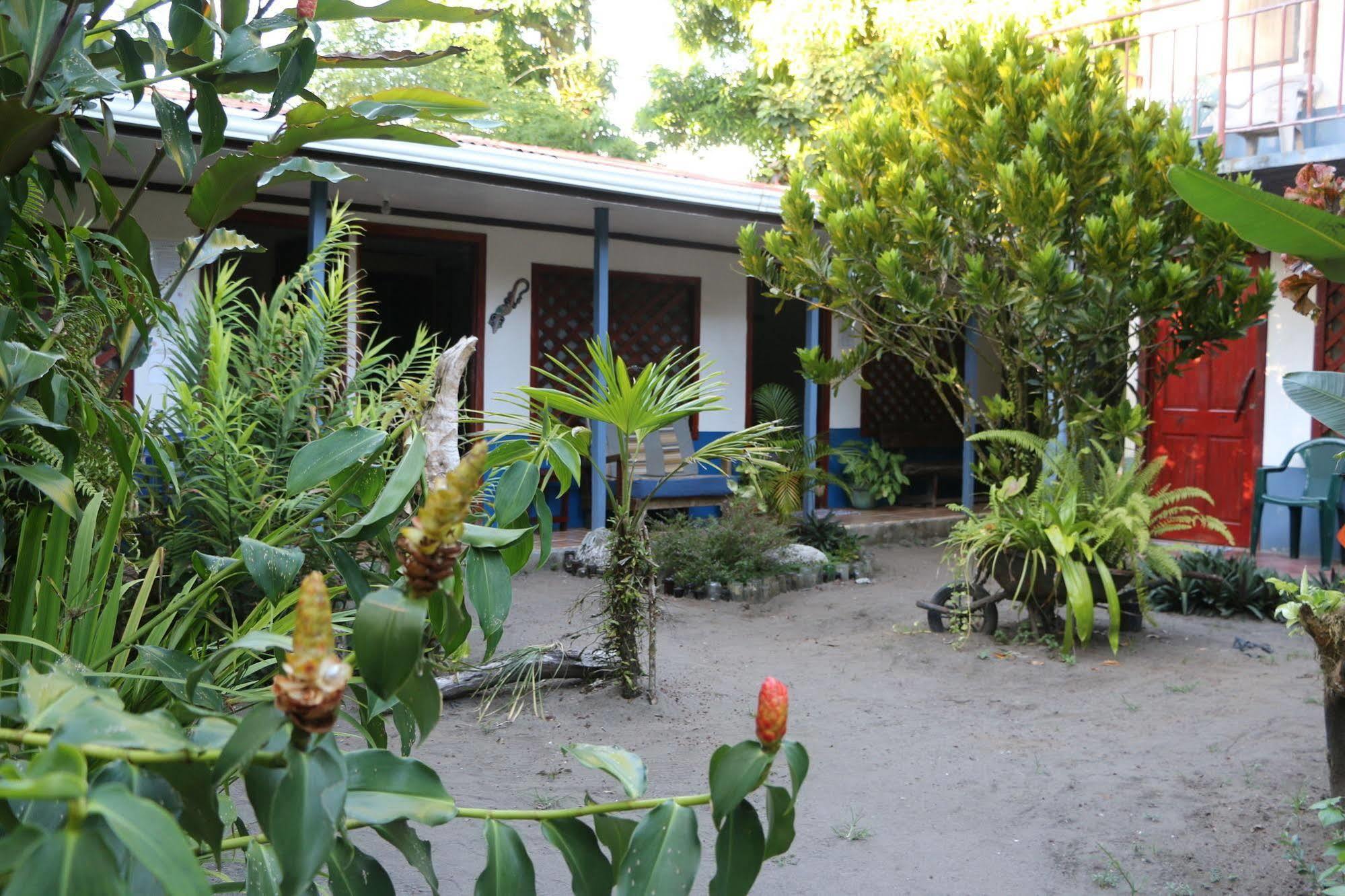 Hotel La Casona De Tortuguero Exterior foto