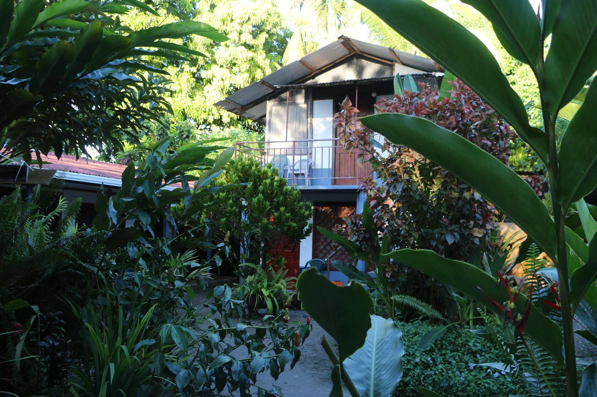 Hotel La Casona De Tortuguero Exterior foto